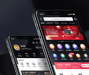 大理白族自治州小程序开发企业数字化电商系统实现您的愿景，助推企业升级【低价折扣不容错过！】